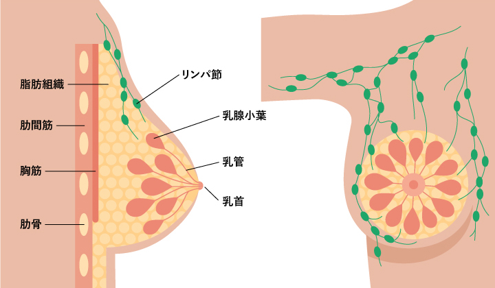 図解